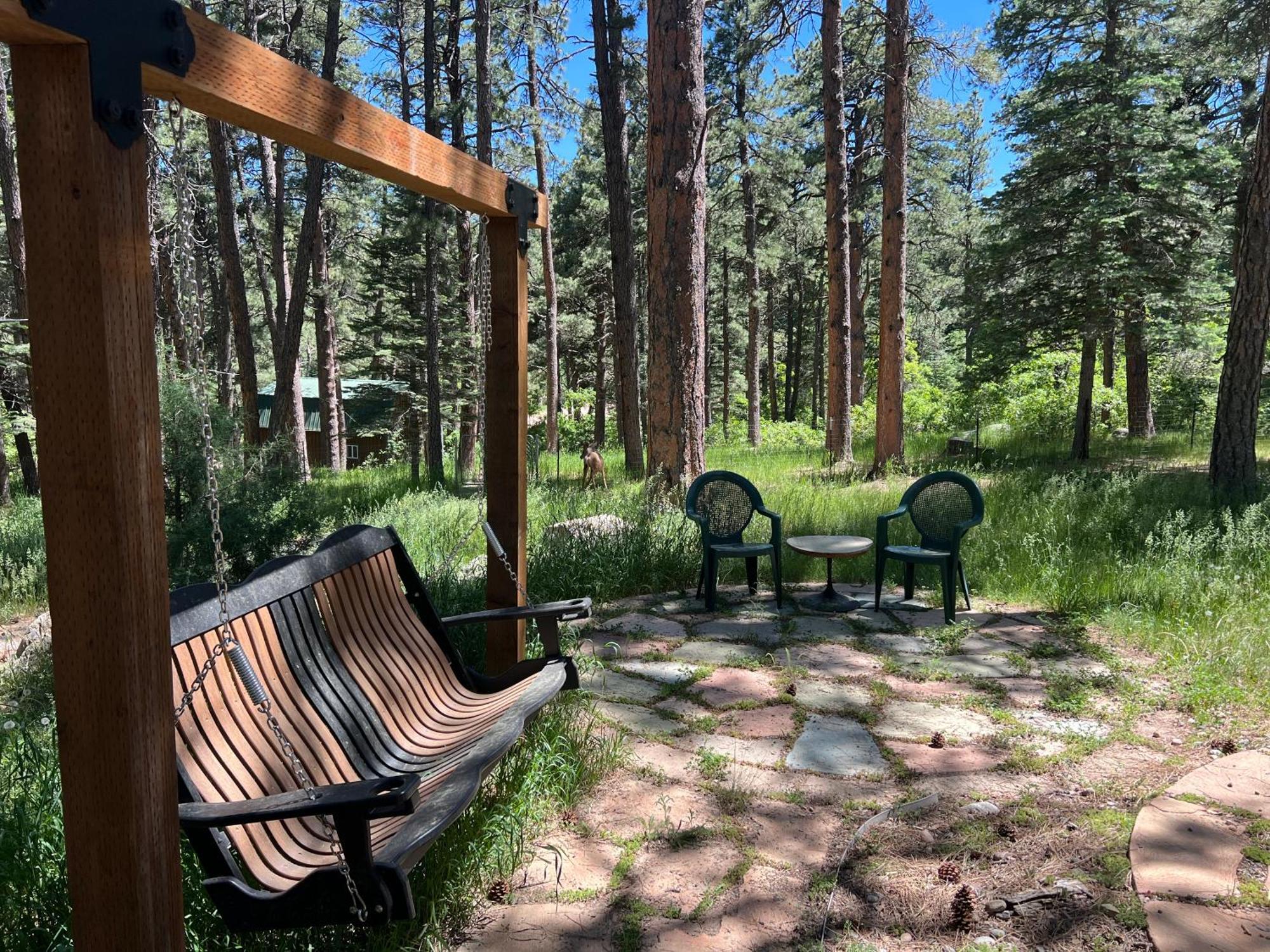 Cozy Cabin On The Creek Colorado City Exterior photo