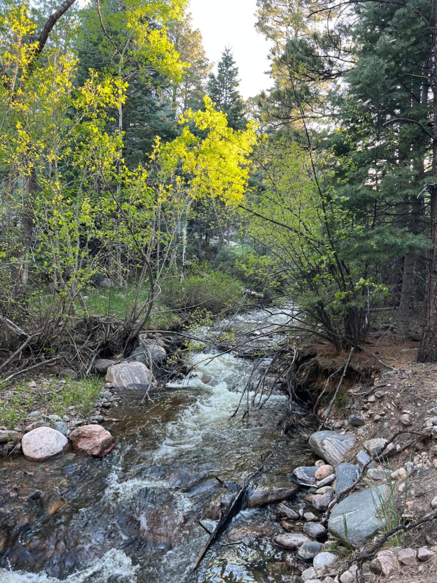 Cozy Cabin On The Creek Colorado City Exterior photo